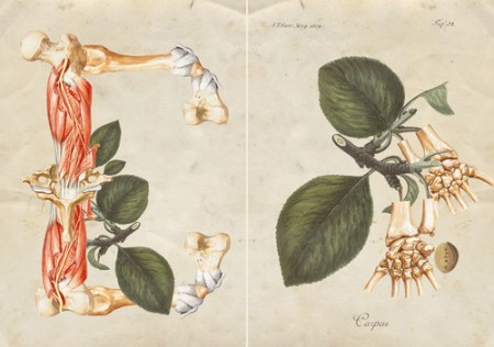 tumblr_mv6jb3f6Pc1sec6tao3_500