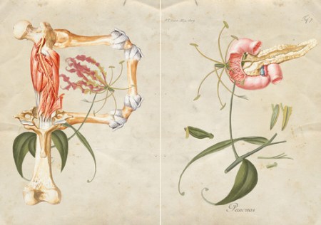 tumblr_mve9faOJHj1sec6tao2_500