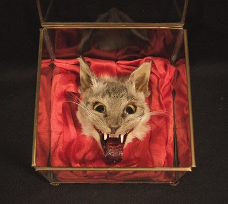 41587996528684417_jNdD2QwT_f