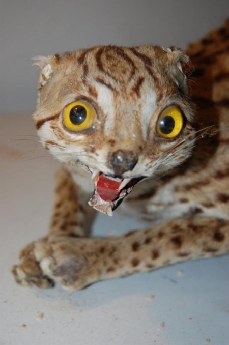 a436b1c30ec6c64f245728dde8efab64