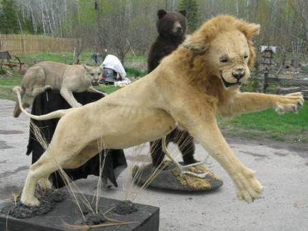 badtaxidermy10
