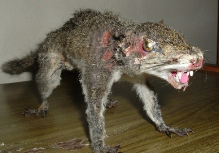 tumblr_l565uqLADQ1qze1jro1_500