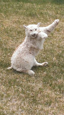 tumblr_n5gr4wD8wR1qze1jro4_400