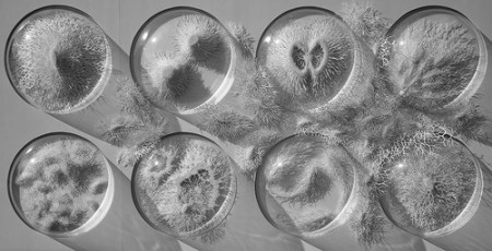 tumblr_n8bqrs7XlC1qzfsnio2_500