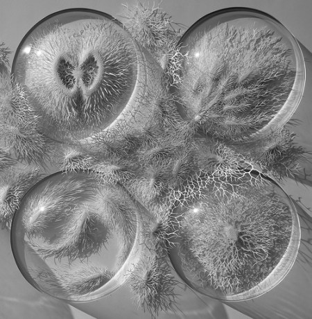 tumblr_n8bqrs7XlC1qzfsnio3_500