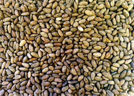 10592758_741683279228571_5047073940366814409_n