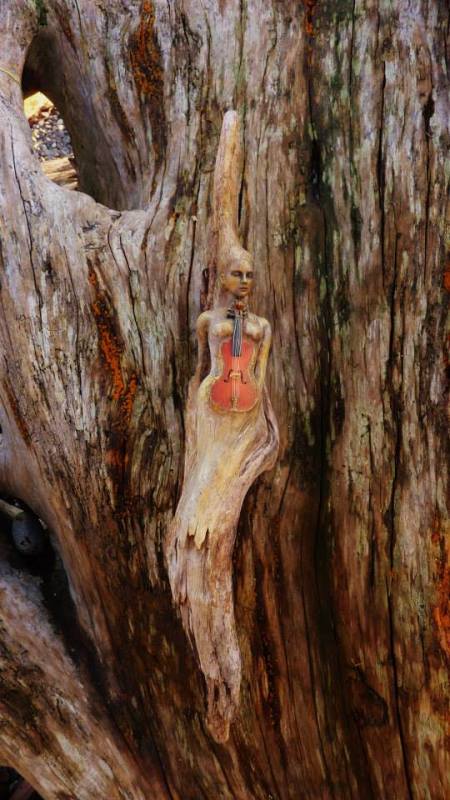 1391435_634082389967110_1974432148_n