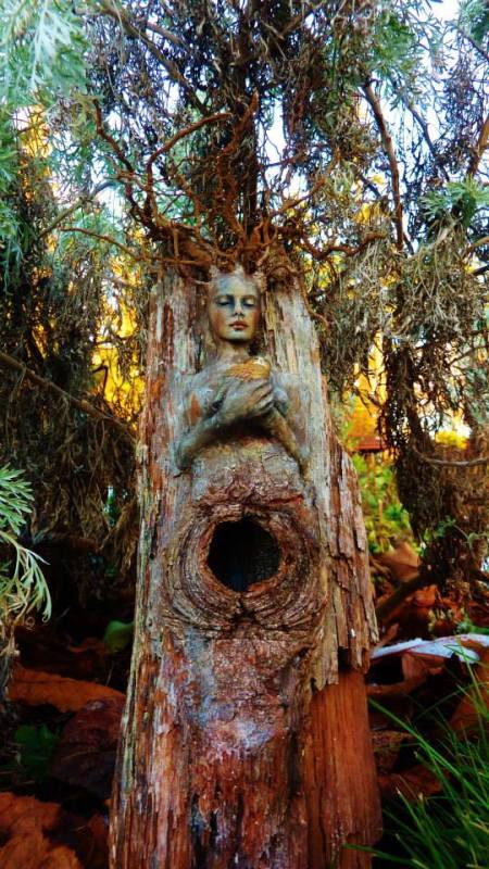 1551641_634081279967221_315870843_n