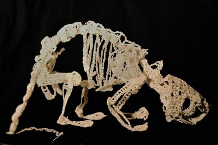 caitlin-t-mccormack-06