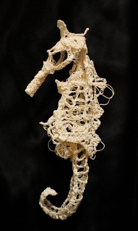 caitlin-t-mccormack-12