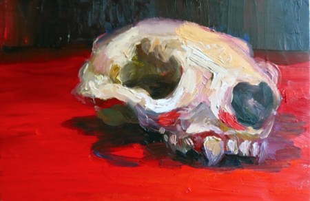 vole_skull_study_by_katmannel-d4wzef4