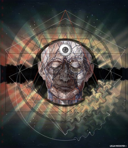 c206286a2112bf591806303863c9b950