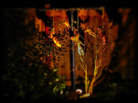 298373_282199441814192_246634901_n