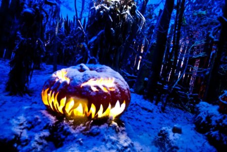 422115_10150668172473688_442375188_n