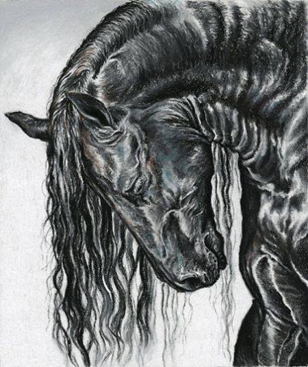 10405279_734657776599246_4985215878052136468_n