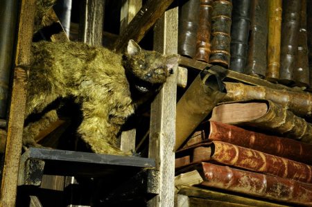 46211_384165911697744_892908029_n