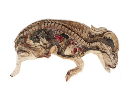 mummified_pig__14285.1411717787.1280.1280