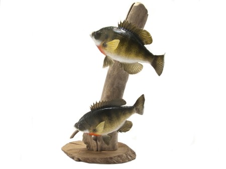 Taxidermy_Fish__99558.1411717257.1280.1280