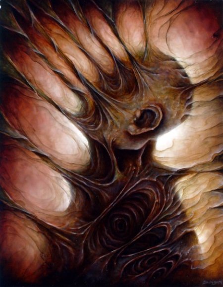 1914445_281212790540_7784049_n