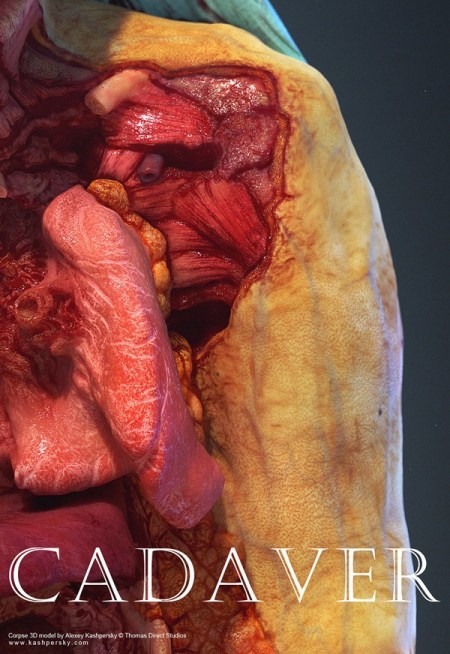 Alexey-Kashpersky-Cadaver