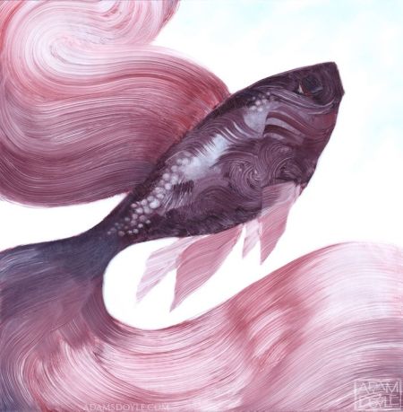 10413375_692149647522488_1412393727306539681_n