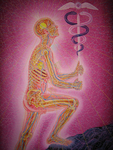 176855195_d30743d55b