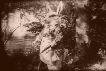 tumblr_lmemi3GsOh1qb9znso1_500