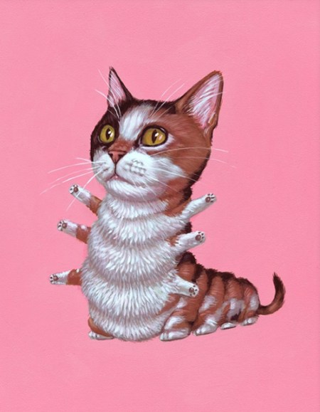 tumblr_novbvdhiuH1qzfsnio1_500