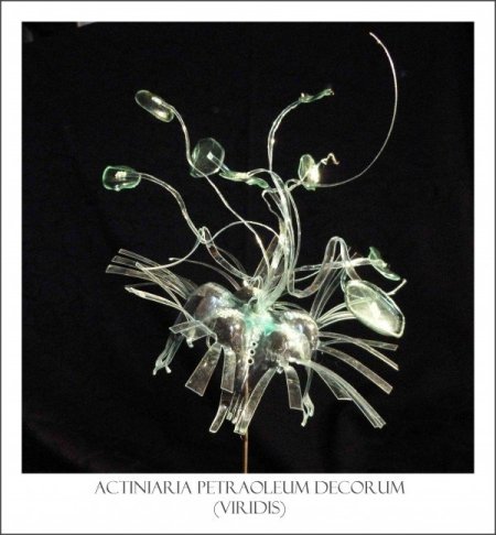 600x648xanemonegracieusevert-600x648.jpg.pagespeed.ic.CvtzBjiPyt