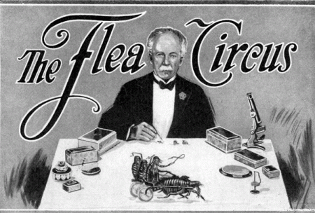 FleaCircus-Prof-W-Hecklers-2