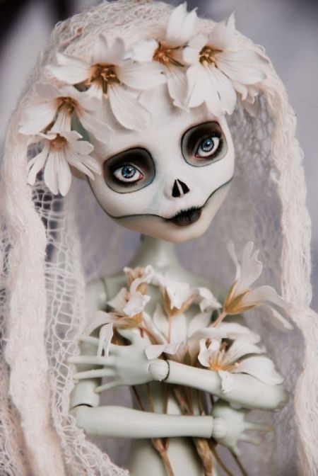 a49cae9c1b51caf75bb1131e4da17f11