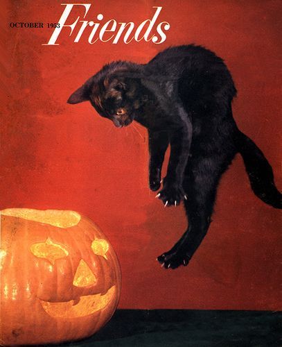 cf1bd21488afc45d87f4dde33e525dbf