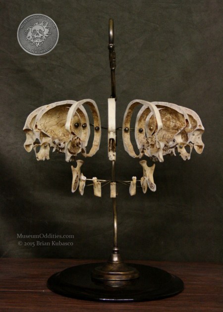 11_854116c5-5dcc-4d14-96e8-93589f15fe83_large@2x