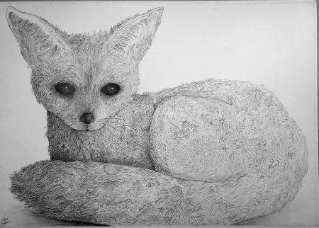 12232680_1113938245298109_4227534214860287179_o