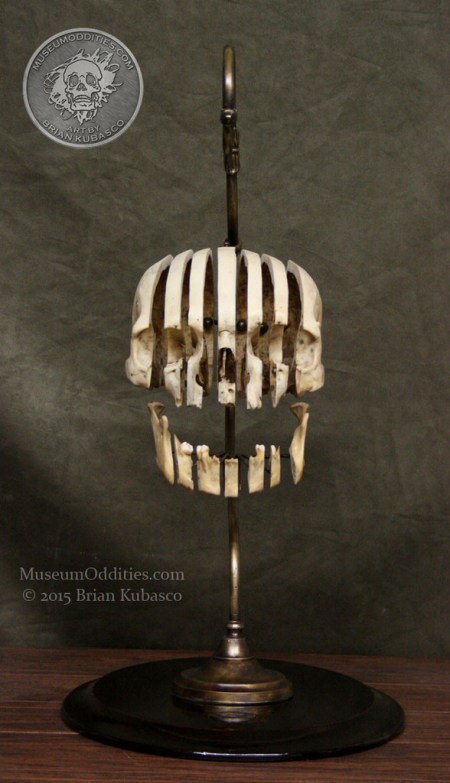 6_a2a461e9-ddf2-4e01-a2d3-6c5be31a1813_1024x1024