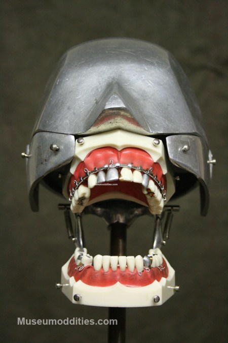 9_92aca225-f0d1-43bd-a80f-00cc5a394a4e_large@2x