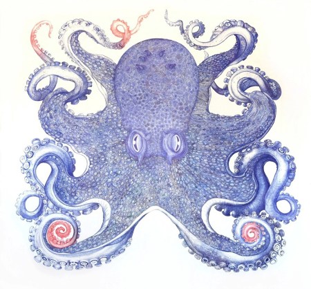 Octo-2
