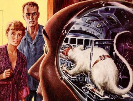 selection-du-weekend-176-75