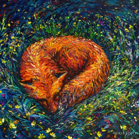 zFoxNap30x30