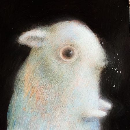 12345779_905428566241755_635876953_n