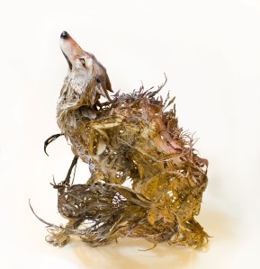 static1.squarespace.com