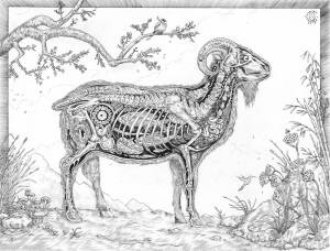 10830686_314732088737100_8922421453080403896_o