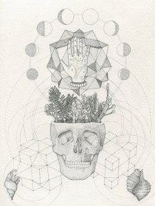 11145570_10205523010769123_4616277845161779412_n