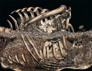 tumblr_necy9t0b6y1sy4sygo1_1280